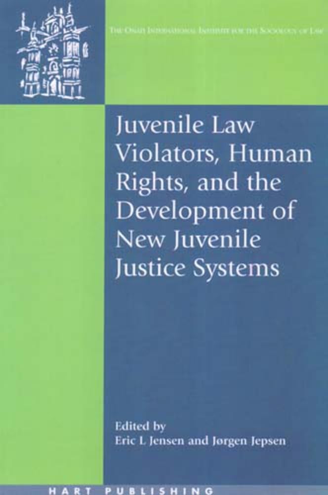 Juvenile Law Violators, Human Rights, and the Development of New Juvenile Justice Systems (Oñati International Law and Society, Band 18)