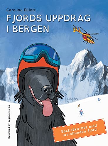 FJORDS UPPDRAG I FJÄLLEN
