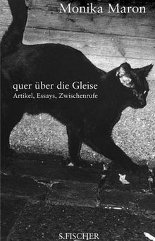 quer über die Gleise: Essays, Artikel, Zwischenrufe