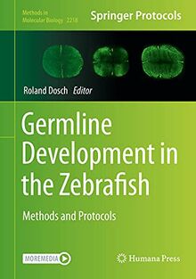 Germline Development in the Zebrafish: Methods and Protocols (Methods in Molecular Biology, 2218, Band 2218)