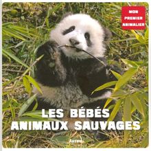 Les bébés animaux sauvages