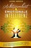 Achtsamkeit & emotionale Intelligenz: Mit Achtsamkeitstraining & Emotionsregulation die Gedanken, Gefühle & Emotionen regulieren - Empathie & Resilienz lernen für mehr Zufriedenheit & Glück - Buch