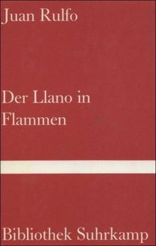 Der Llano in Flammen.