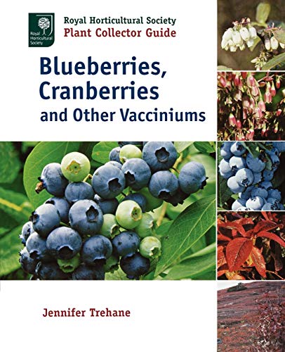 Jennifer Trehane Blueberries, Cranberries And Other Vacciniums (Royal Horticultural Society Plant Collector Guide)