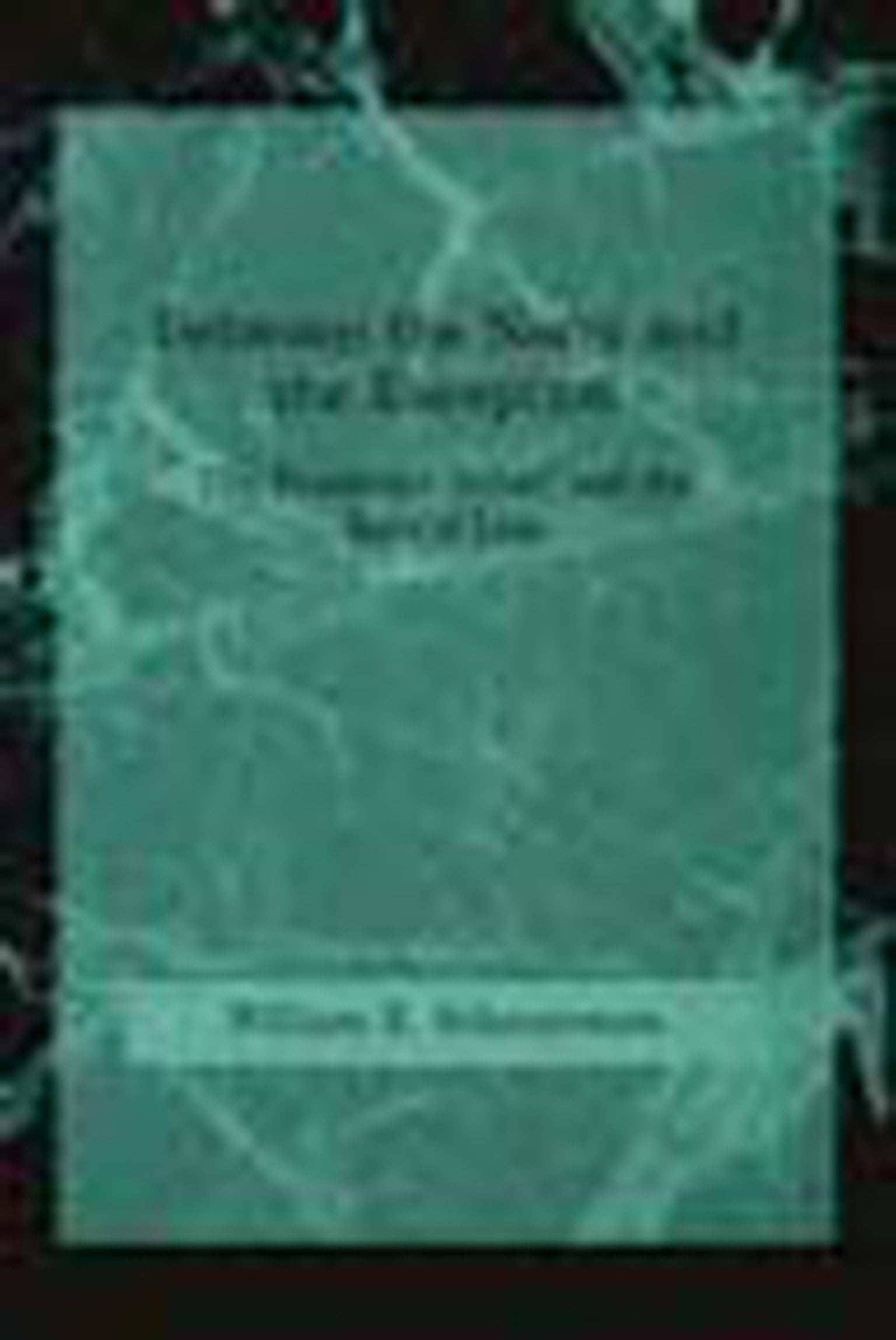 Scheuerman, William E. E. Between The Norm And The Exception, The Frankfurt School And The Rule Of Law (Studies In Contemporary German Social Thought)
