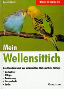 Mein Wellensittich