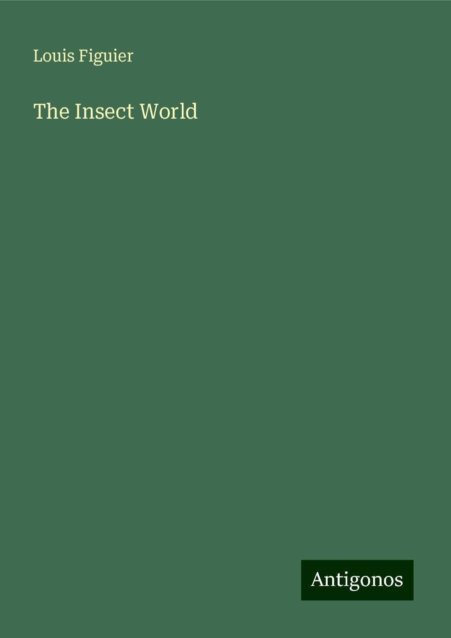 The Insect World