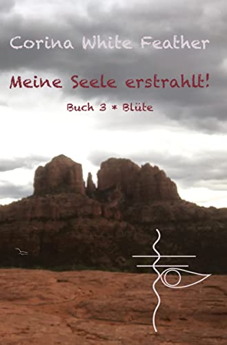 Meine Seele erstrahlt!: Buch 3 * Blüte