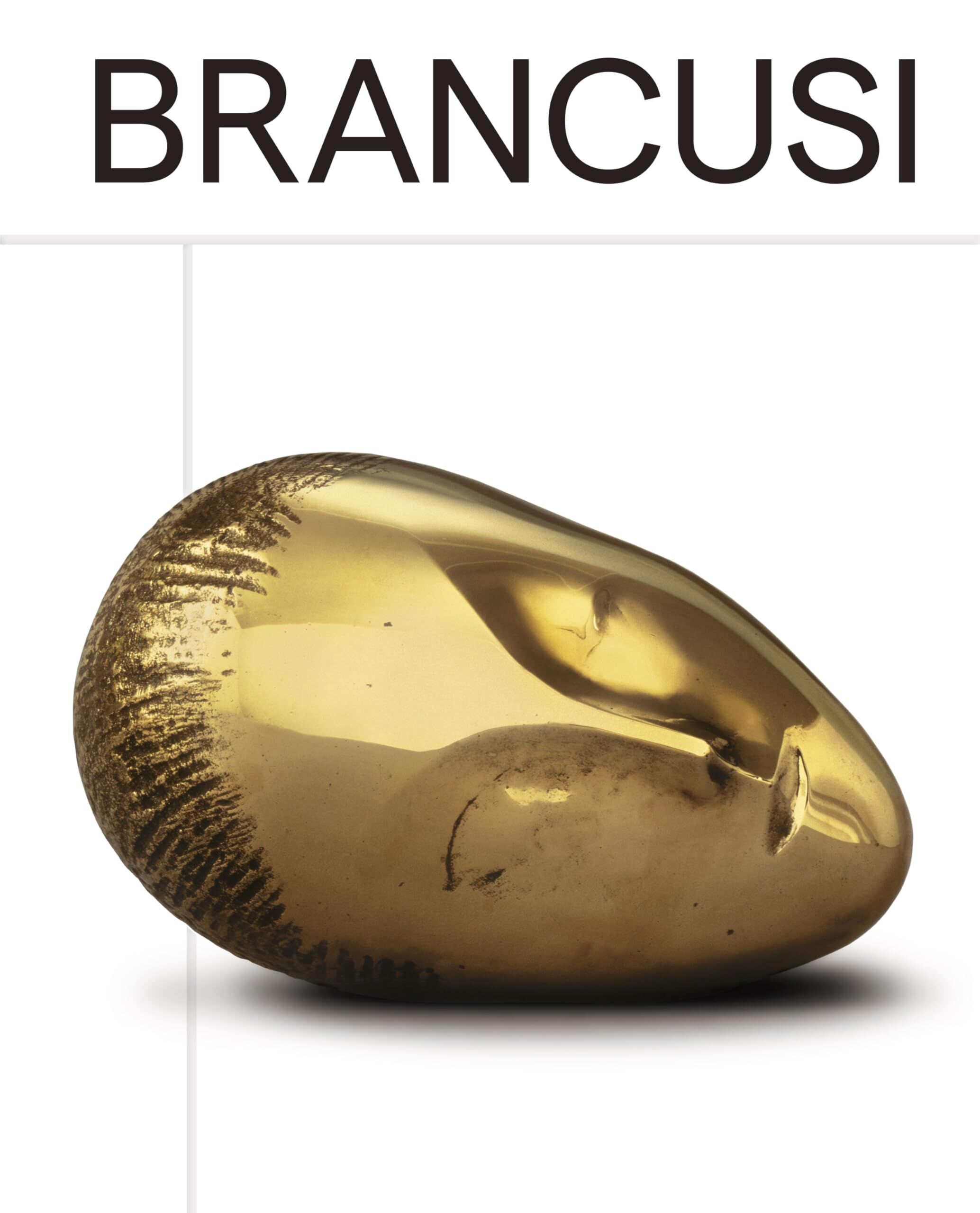 Brancusi, Constantin: Constantin Brancusi
