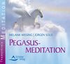 Pegasusmeditation -