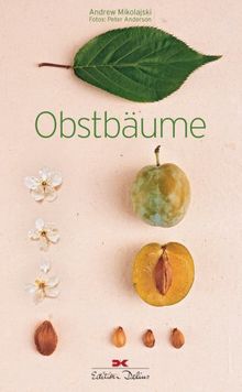 Obstbäume