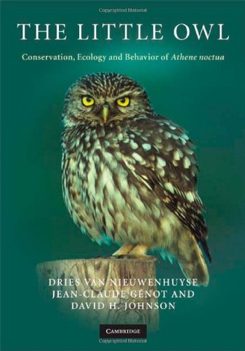 The Little Owl: Conservation, Ecology and Behavior of Athene Noctua