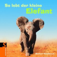 So lebt der kleine Elefant