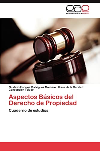 Aspectos Básicos del Derecho de Propiedad: Cuaderno de estudios