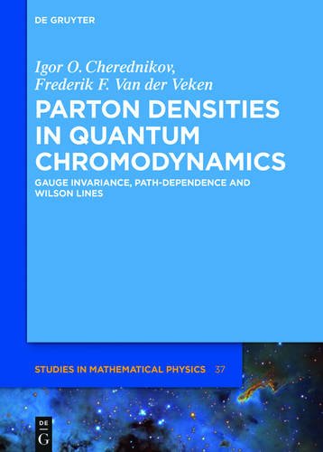 Parton Densities in Quantum Chromodynamics: Gauge invariance, path-dependence and Wilson lines (De Gruyter Studies in Mathematical Physics, Band 37)
