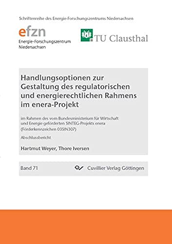 Handlungsoptionen zur Gestaltung des regulatorischen und energierechtlichen Rahmens im enera-Projekt (Schriftenreihe des Energie-Forschungszentrums Niedersachsen (EFZN))