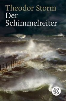 Der Schimmelreiter: Novelle