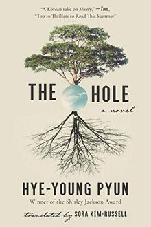 The Hole: A Novel