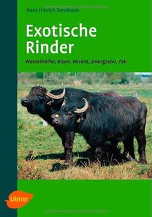 Exotische Rinder: Wasserbüffel, Bison, Wisent, Zwergzebu, Yak