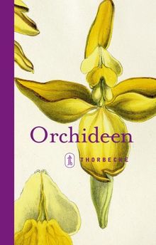 Orchideen