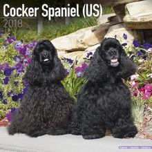 Cocker Spaniel (US) Calendar 2018