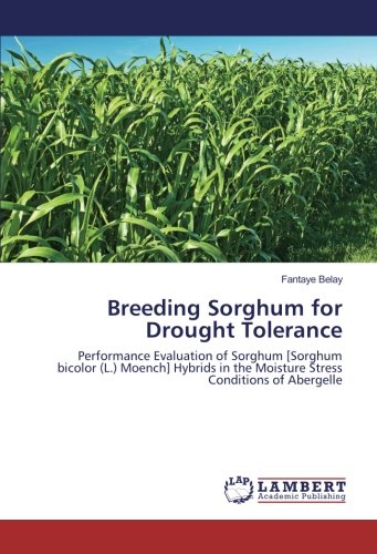 Breeding Sorghum for Drought Tolerance: Performance Evaluation of Sorghum [Sorghum bicolor (L.) Moench] Hybrids in the Moisture Stress Conditions of Abergelle