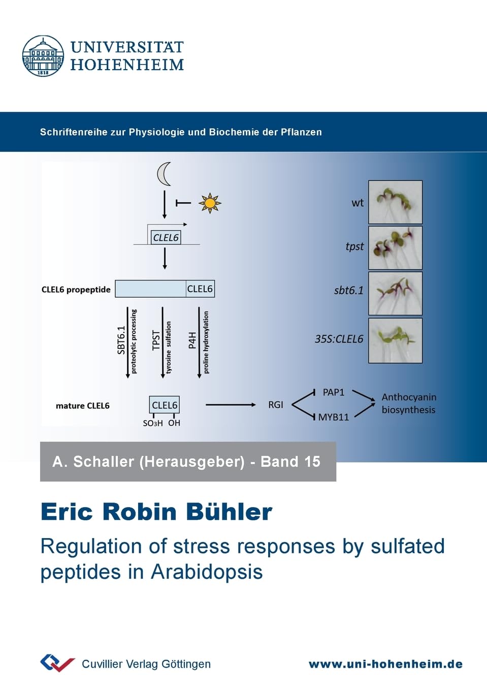 Regulation of stress responses by sulfated peptides in Arabidopsis (Physiologie und Biotechnologie der Pflanzen)