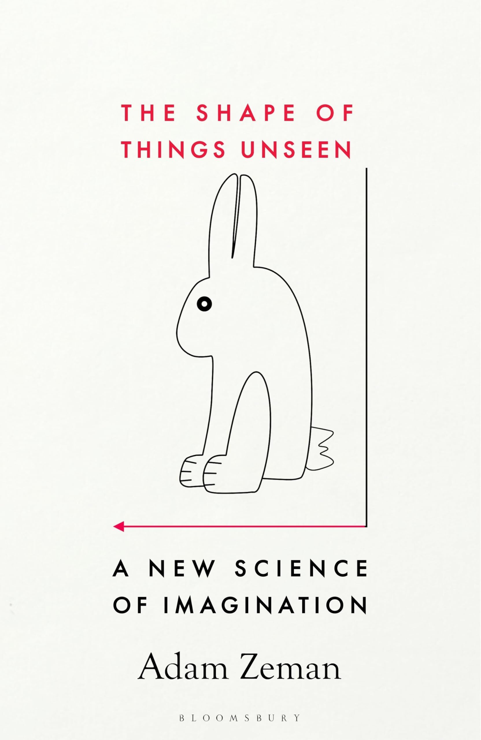 Adam Zeman The Shape Of Things Unseen