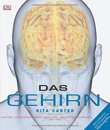 Das Gehirn: Anatomie, Sinneswahrnehmung, Gedächtnis, Bewusstsein, Störungen