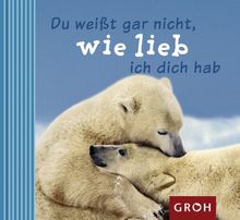 Du weißt gar nicht , wie lieb ich dich hab