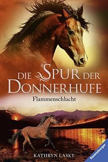 Die Spur der Donnerhufe 1: Flammenschlucht von Lasky, Kathryn | Buch | Zustand gut