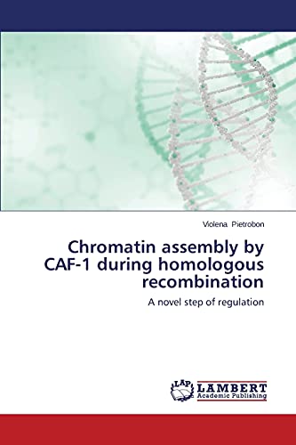 Chromatin assembly by CAF-1 during homologous recombination: A novel step of regulation