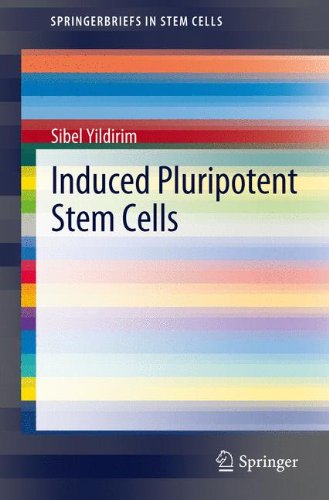 Induced Pluripotent Stem Cells (SpringerBriefs in Stem Cells)