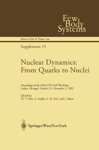 Nuclear Dynamics: From Quarks to Nuclei: Proceedings of the XXth CFIF Fall Workshop, Lisbon, Portugal, October 31―November 2, 2002: Proceedings of the ... 31 - November 2, 2002 (Few-Body Systems)
