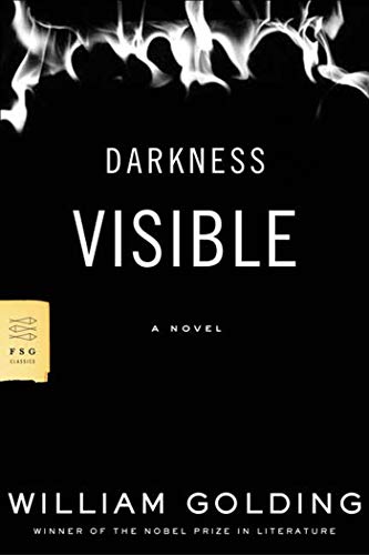 Darkness Visible (FSG Classics)