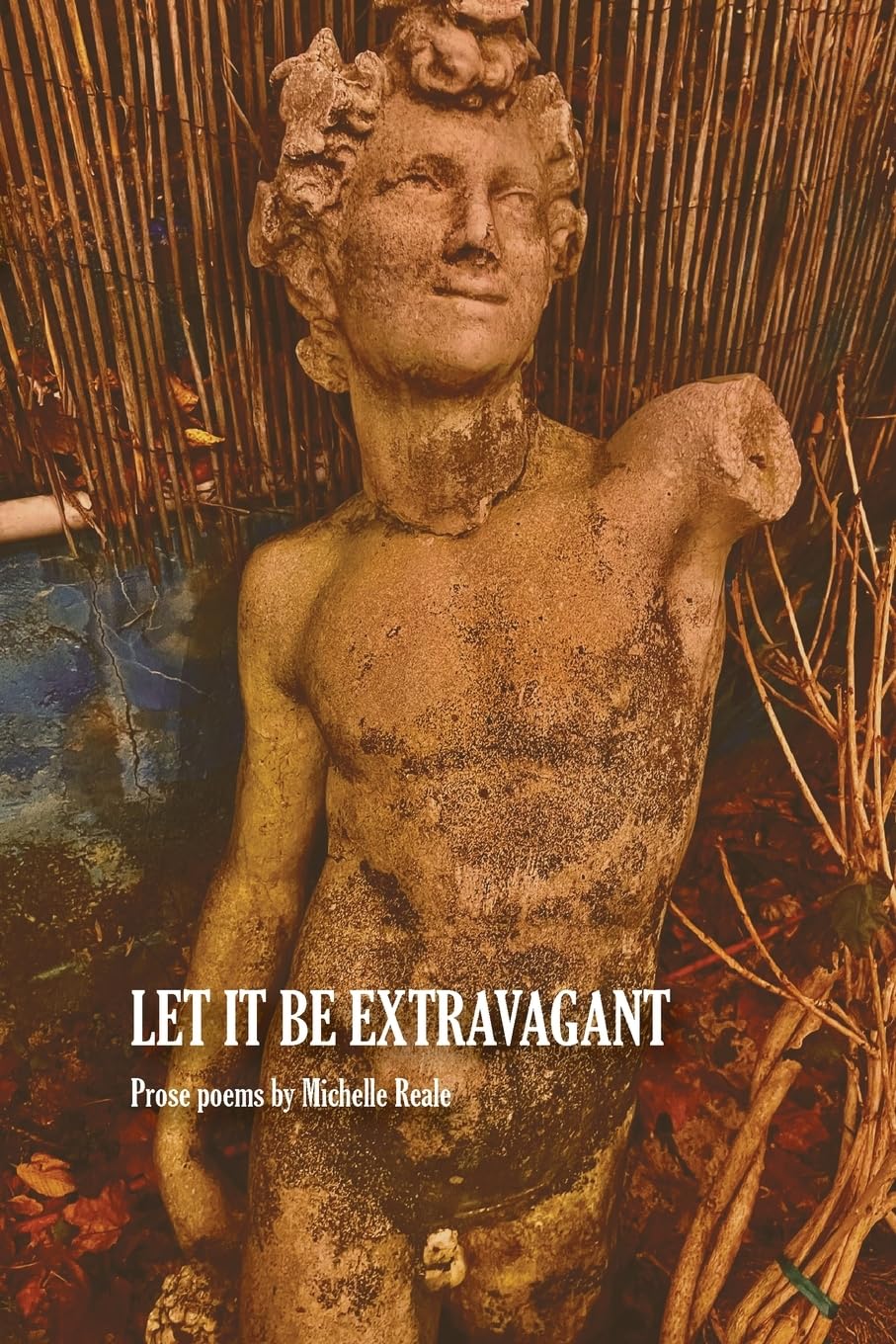 Let It Be Extravagant (VIA Folios, Band 187)