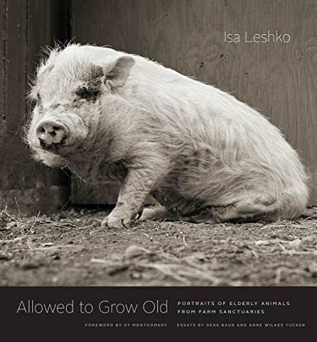 Isa Leshko Allowed To Grow Old, Portraits Of Elderly Animals From Farm Sanctuaries