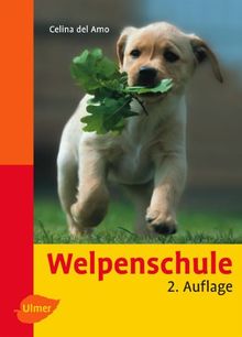 Welpenschule (Heimtiere): Der sanfte Weg zum Familienhund. 22 Umweltabenteuer, Übungspläne