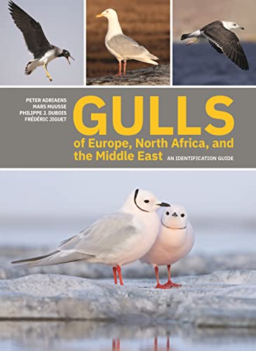 Peter Adriaens Gulls Of Europe, North Africa, And The Middle East, An Identification Guide