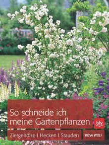 So schneide ich meine Gartenpflanzen: Ziergehölze, Hecken, Stauden