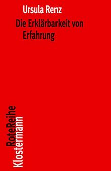 Die Erklärbarkeit von Erfahrung: Realismus und Subjektivität in Spinozas Theorie des menschlichen Geistes (Klostermann RoteReihe)