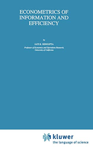 Econometrics of Information and Efficiency (Theory and Decision Library B, 25, Band 25)