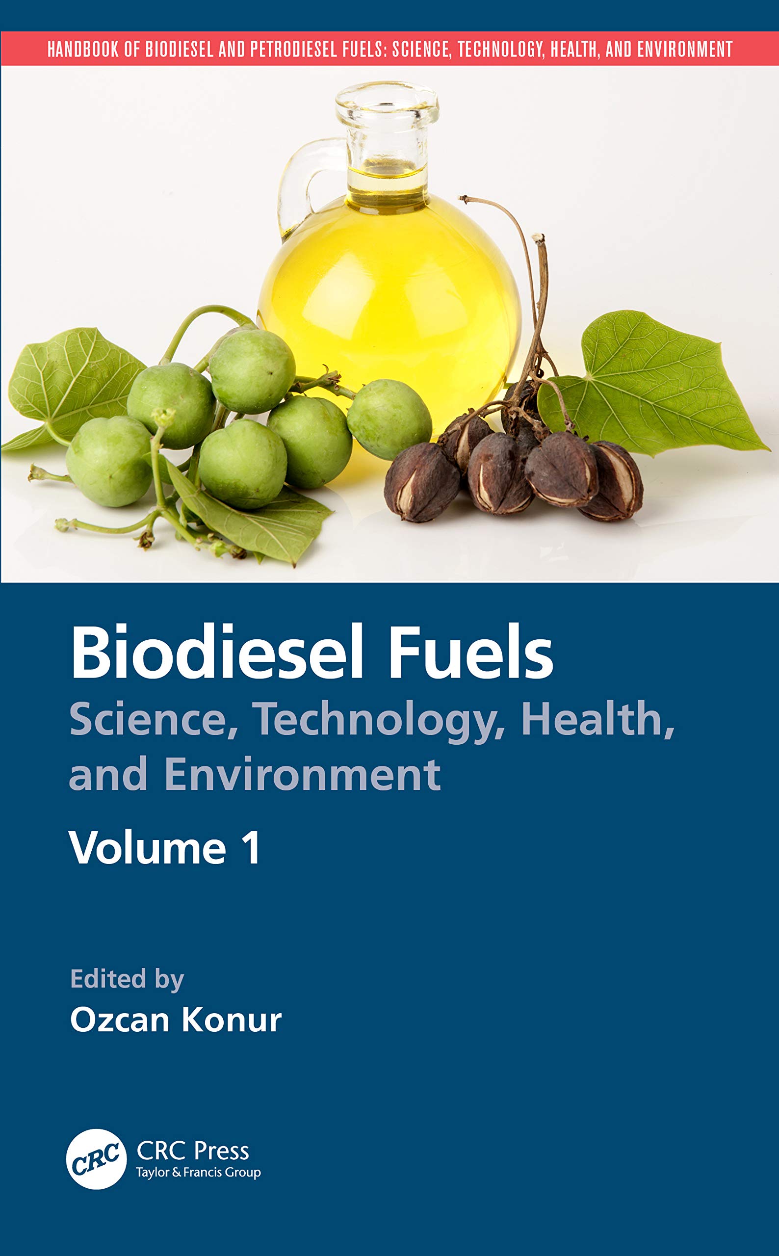 Biodiesel Fuels: Science, Technology, Health, and Environment (Handbook of Biodiesel and Petrodiesel Fuels, Band 1)