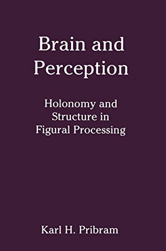Brain and Perception: Holonomy and Structure in Figural Processing (Distinguished Lecture)