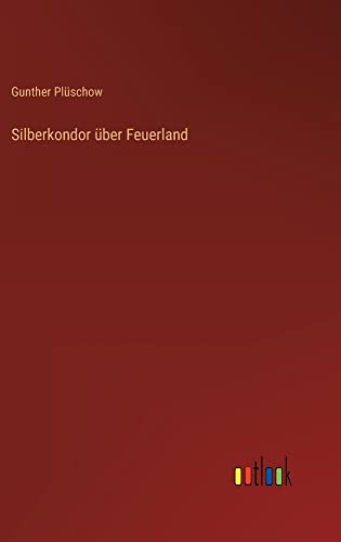 Silberkondor über Feuerland