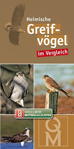Greifvögel (Quelle & Meyer Bestimmungskarten)