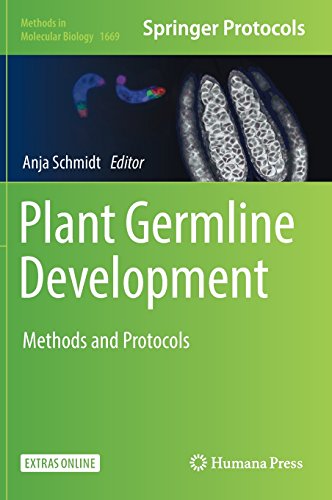 Plant Germline Development: Methods and Protocols (Methods in Molecular Biology, Band 1669)