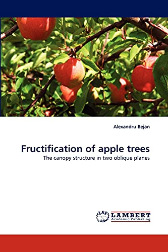 Fructification of apple trees: The canopy structure in two oblique planes