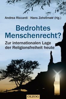 Bedrohtes Menschenrecht?: Zur internationalen Lage der Religionsfreiheit heute