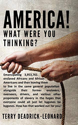 America! What Were You Thinking?: Emancipating 3,953,761 enslaved Africans and African Americans and then leaving them to live in the same general ... and various other proponents of slavery in